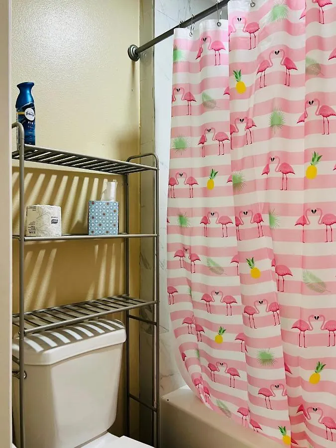 Apartment Near Tpa Airport Tampa 0*,  United States